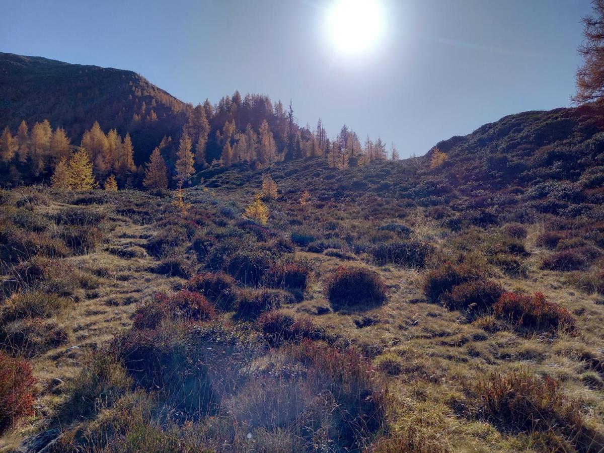Nagelehof Lägenhet Ainet Exteriör bild